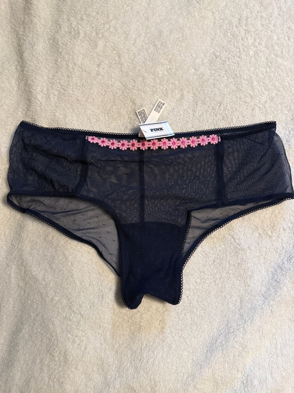 NWT Victorias Secret Pink Mesh Cheeky